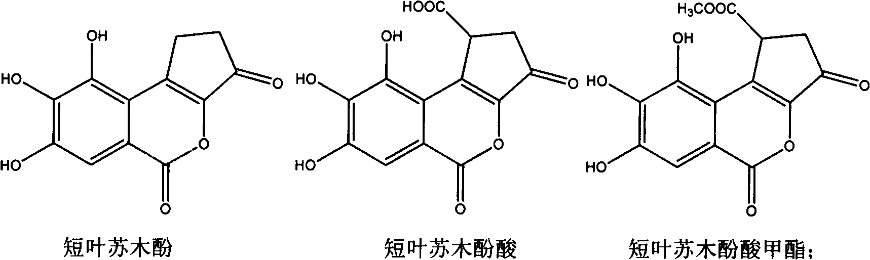 Ailanthus flower extract as well as preparation method and application of active ingredients brevifolin of ailanthus flower extract