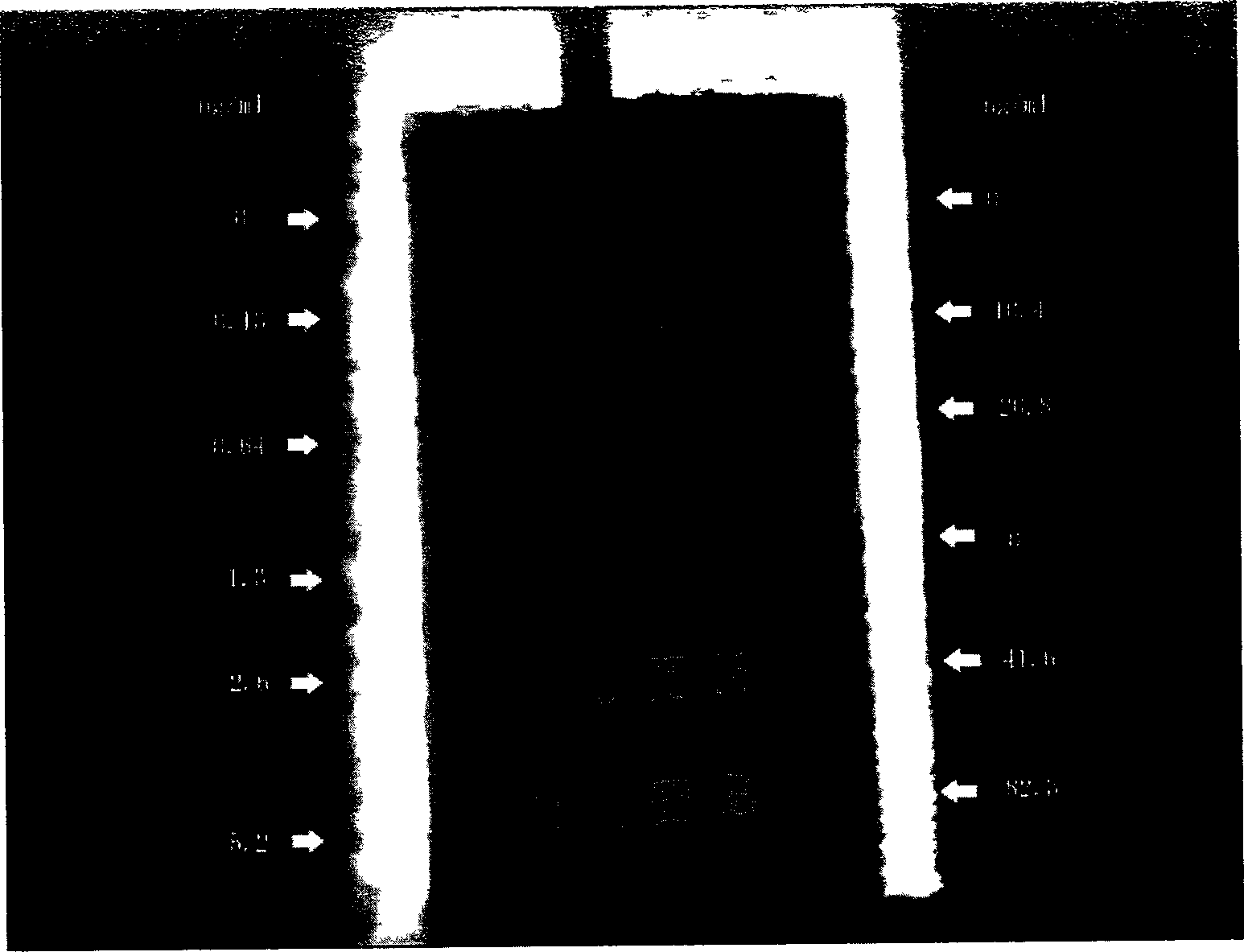 Detection method of molecules, and appliction