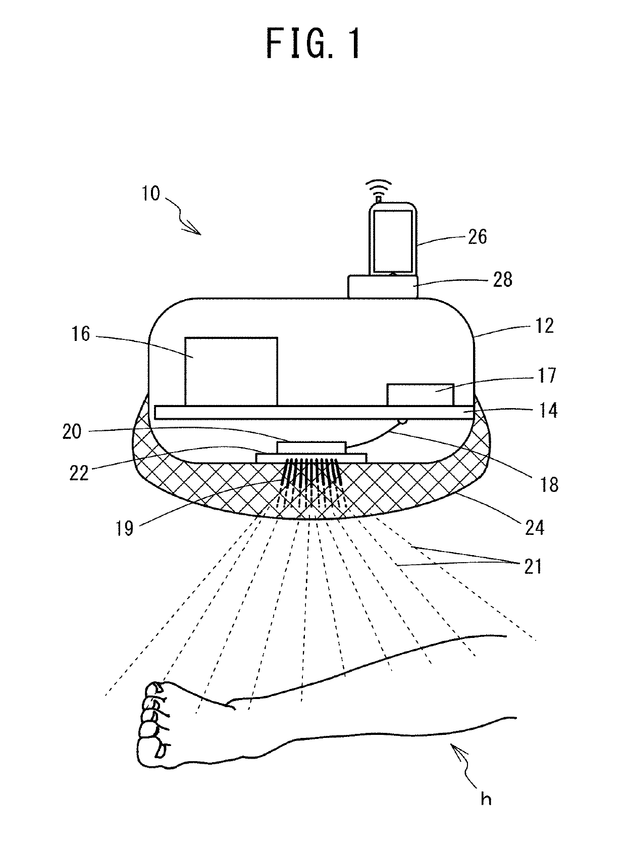 Ultrasonic irradiation apparatus and system, and ultrasonic irradiation method