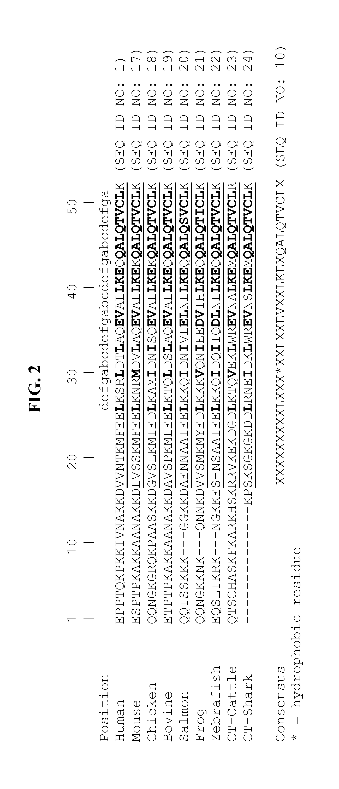 Polypeptides that Bind TRAIL-R1 and TRAIL-R2