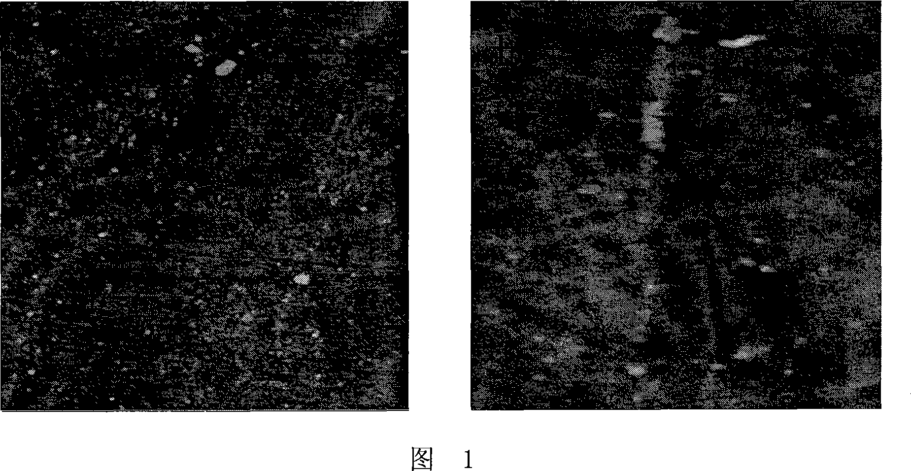 Method for separating and purifying hydrophobin