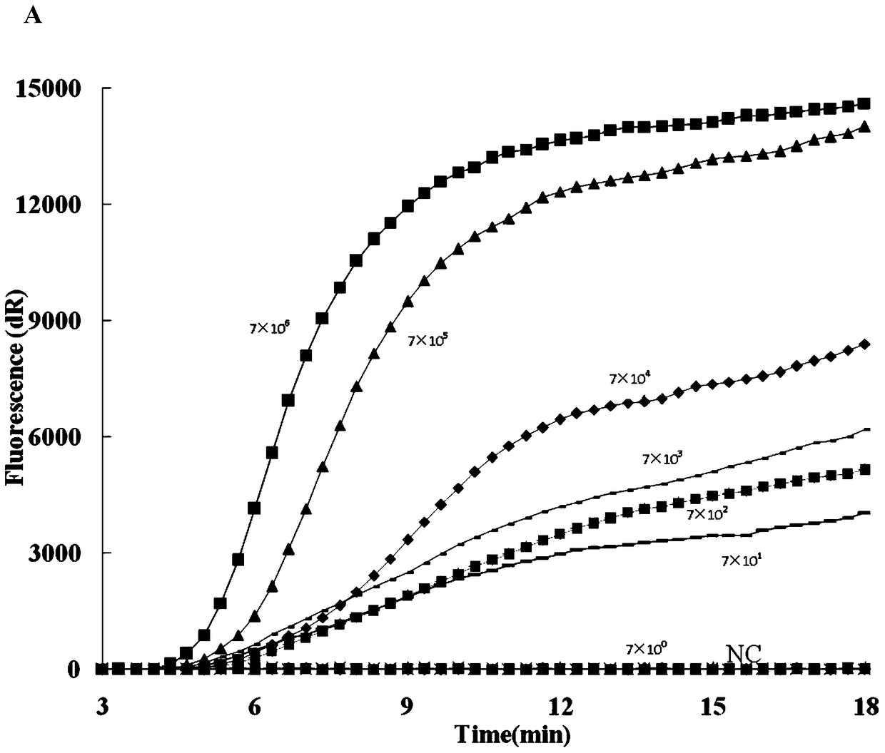 RT-rpa detection kit for rapid detection of highly pathogenic porcine reproductive and respiratory syndrome virus and its use