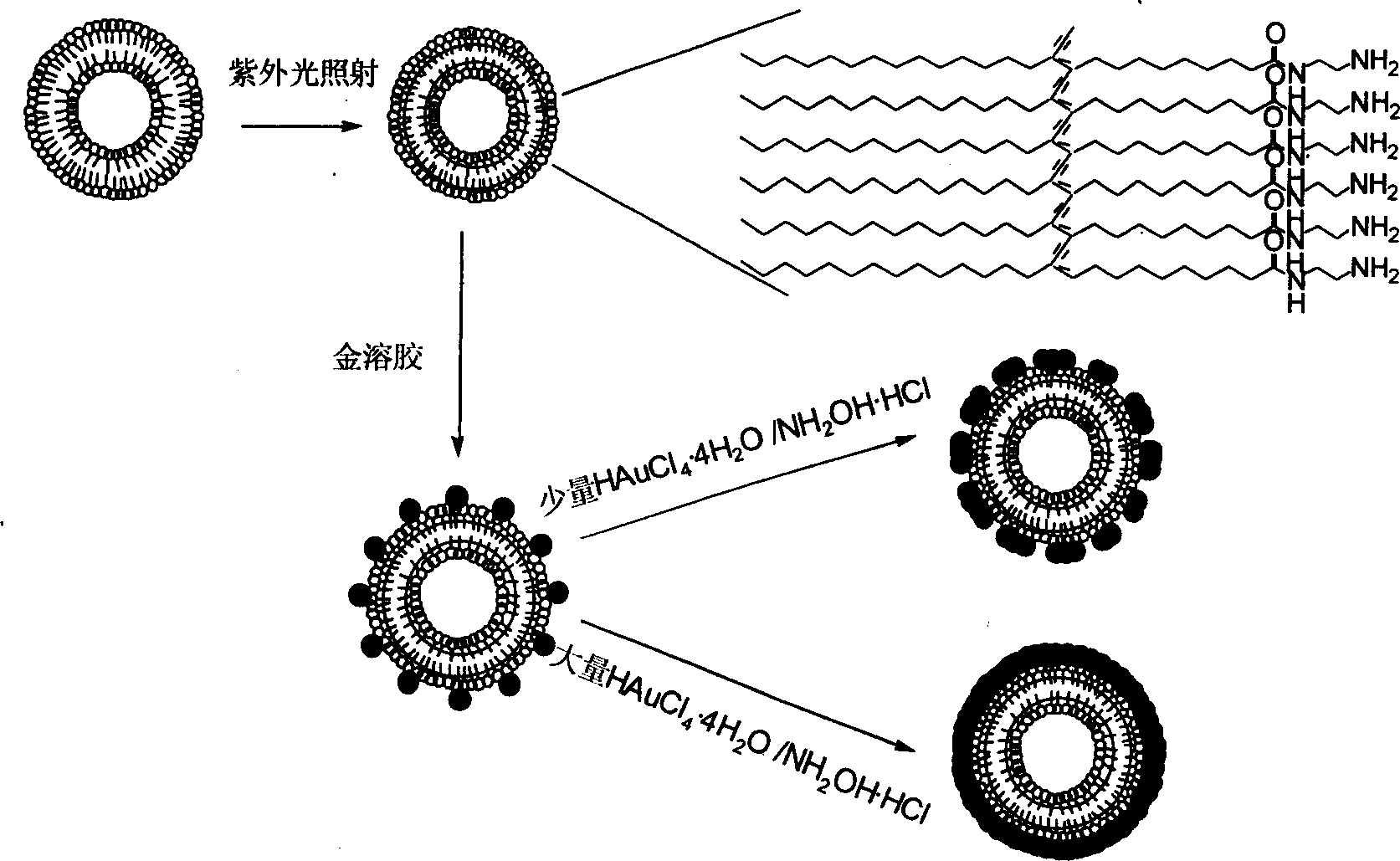 Process for preparing controllable hollow nanometer gold ball based on polymeric vesicle mold plates