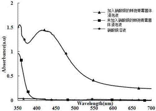 Method for preparing nano silver through pyrenochaeta penicillium