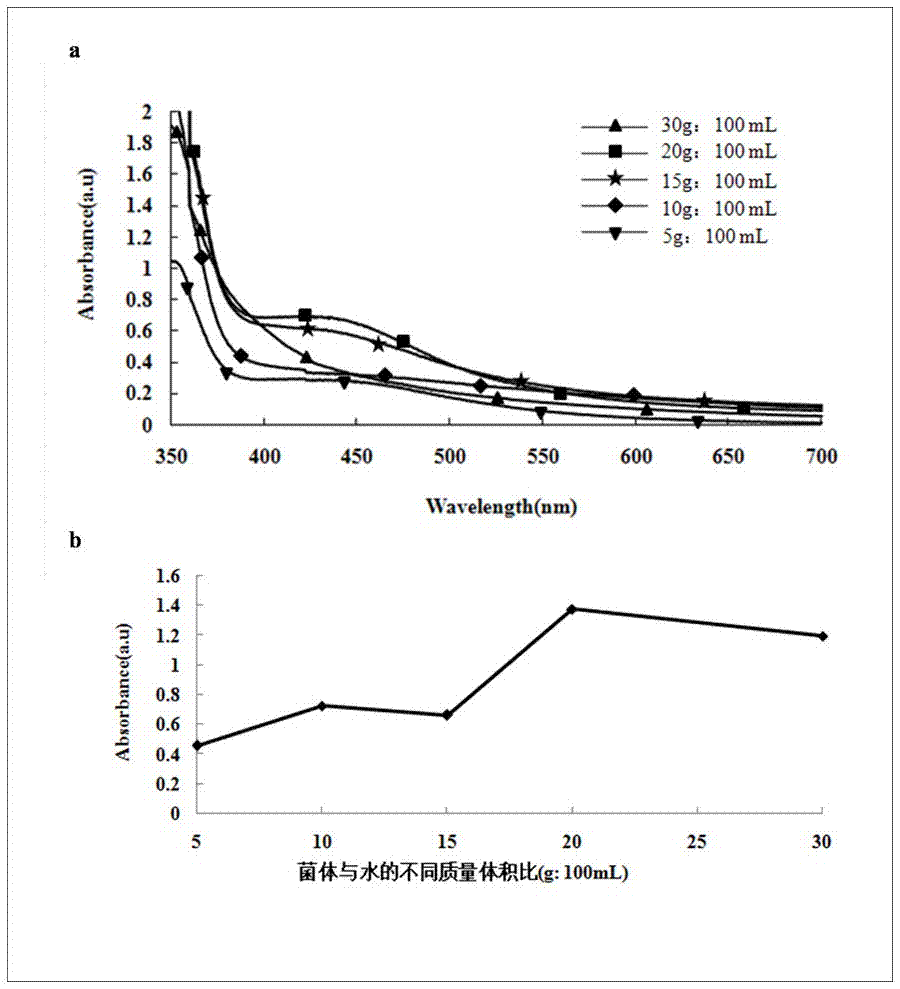 Method for preparing nano silver through pyrenochaeta penicillium