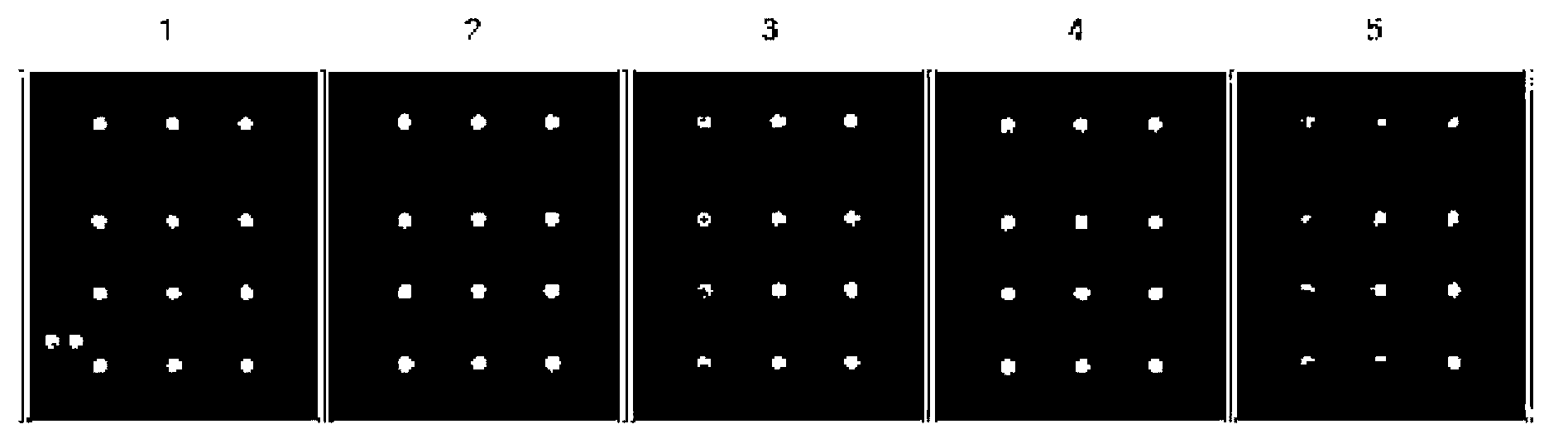 DNA chip for genotyping of human papilloma virus, kit having same, and method for genotyping