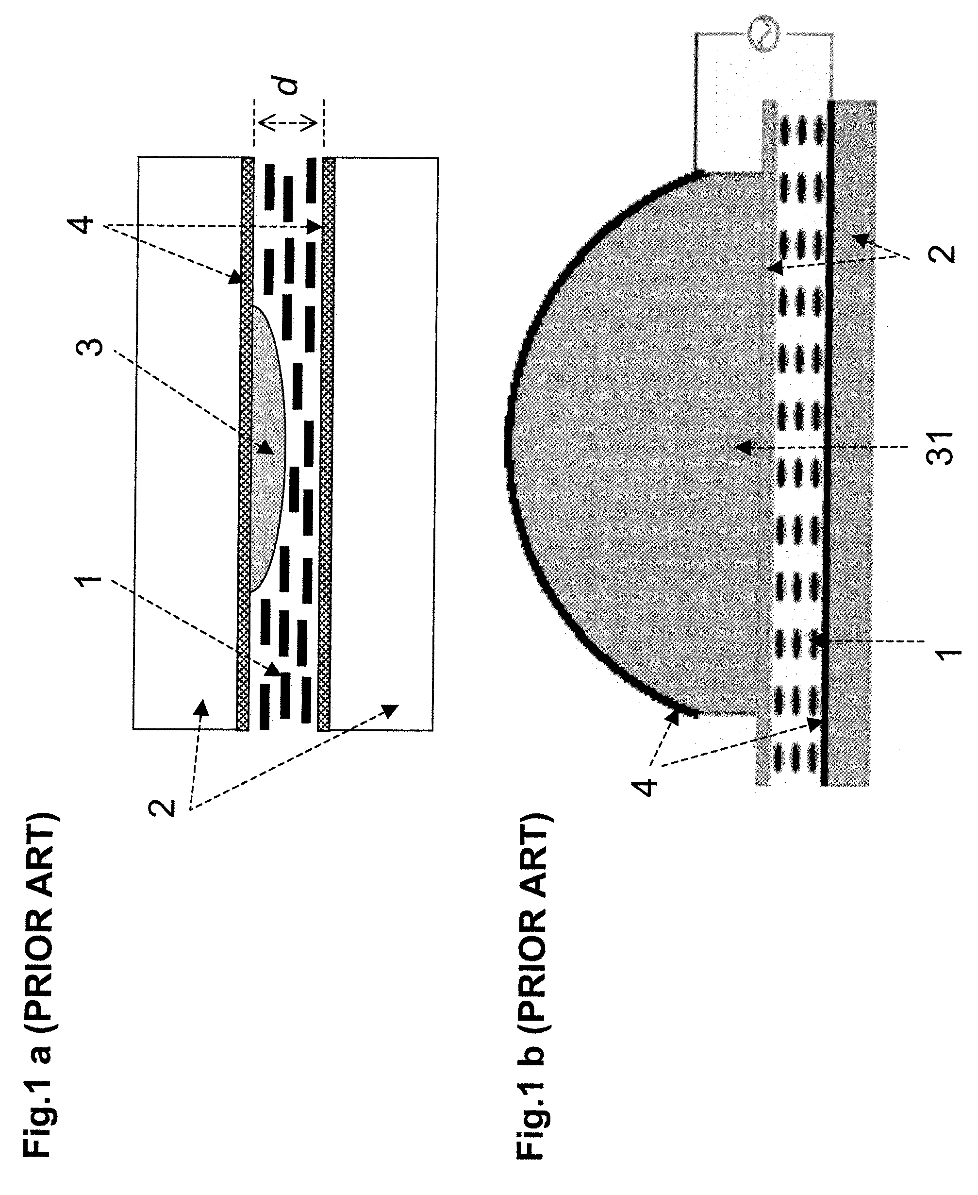 Method and apparatus for spatially modulated electric field generation and electro-optical tuning using liquid crystals