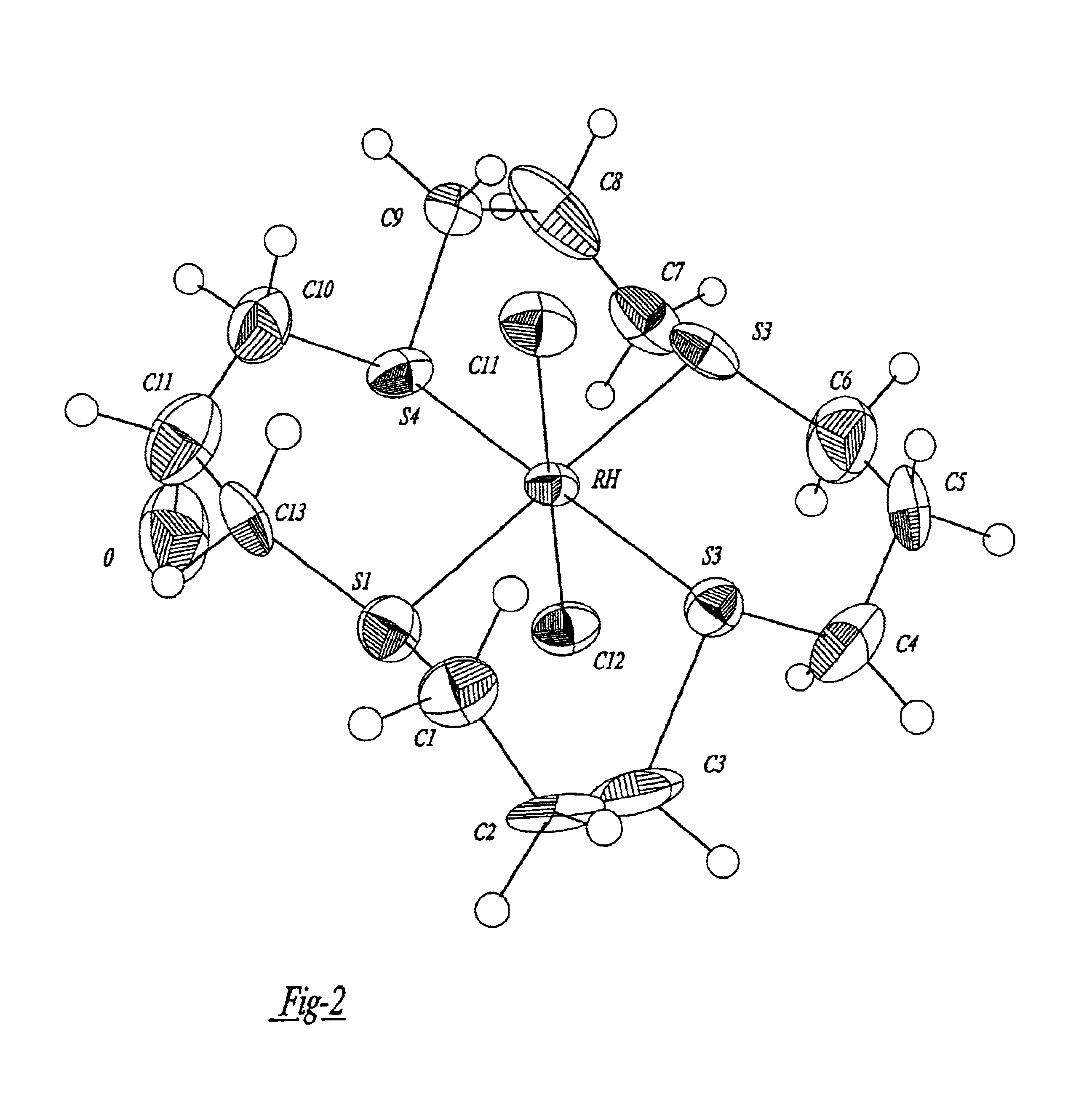 Gastrin receptor-avid peptide conjugates