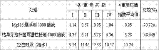 Bacillus amyloliquefaciens Mg116 and application thereof