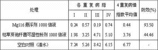 Bacillus amyloliquefaciens Mg116 and application thereof