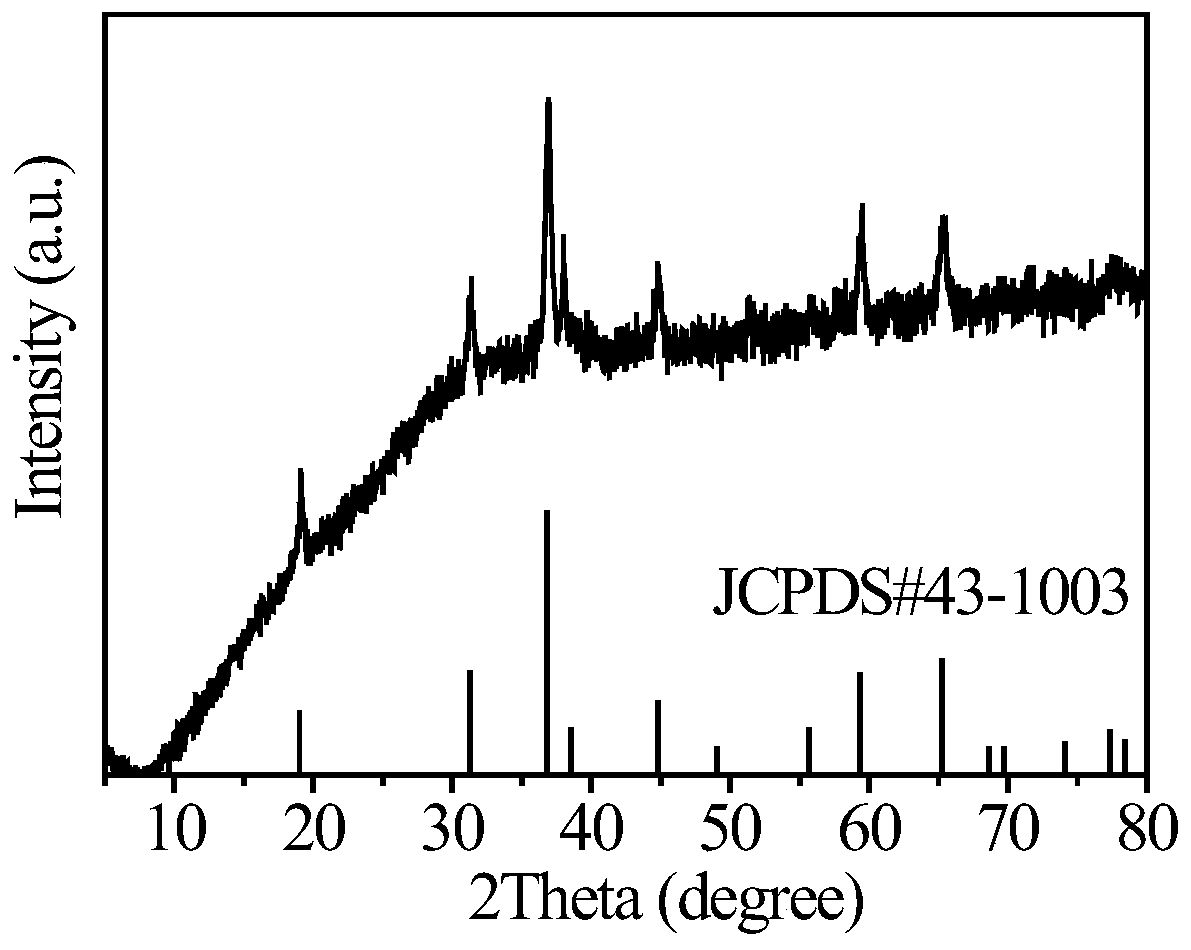 Solvent-free synthesis method and application of cobaltosic oxide