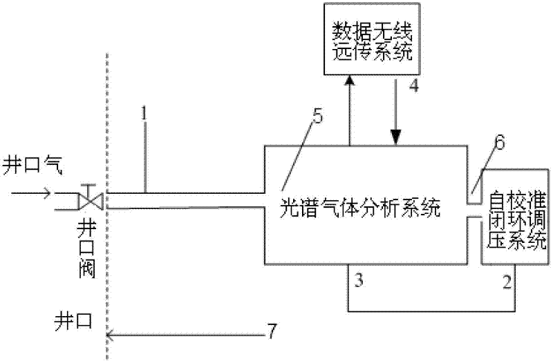 Remote determinator for well head gas