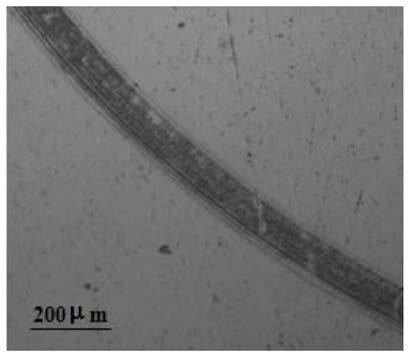 Preparation method of high-hardness wear-resistant stainless steel