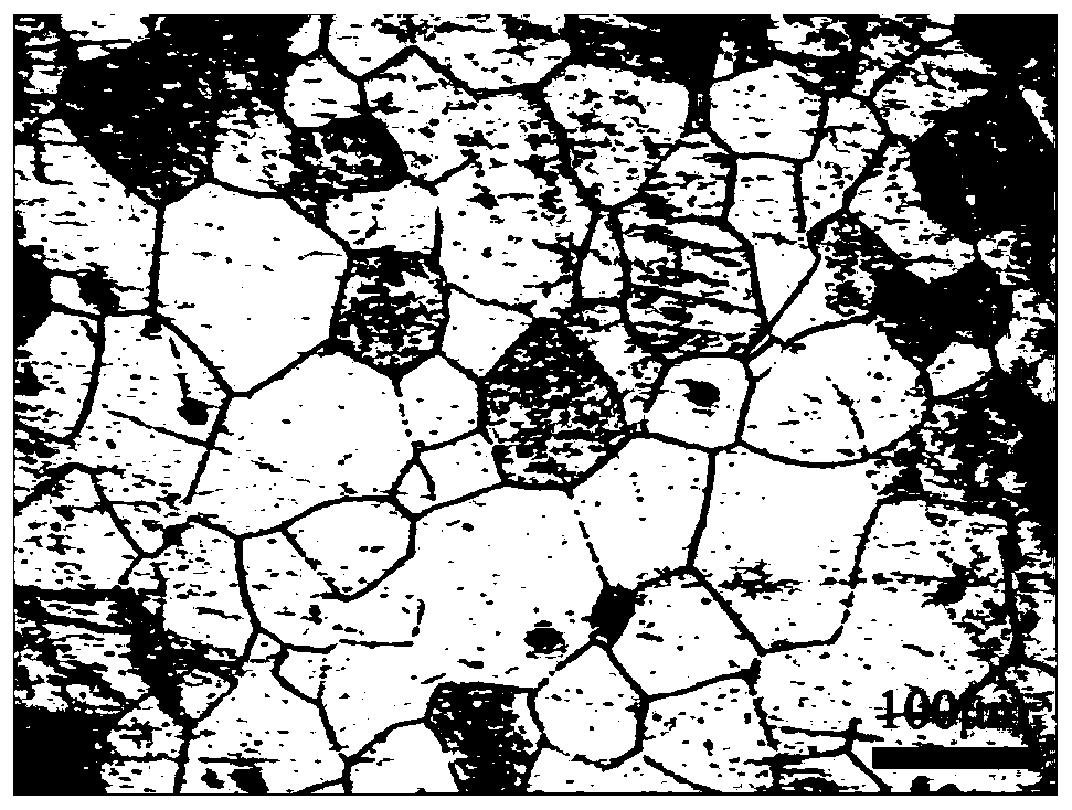 Magnesium alloy material as well as preparation method and application of magnesium alloy material