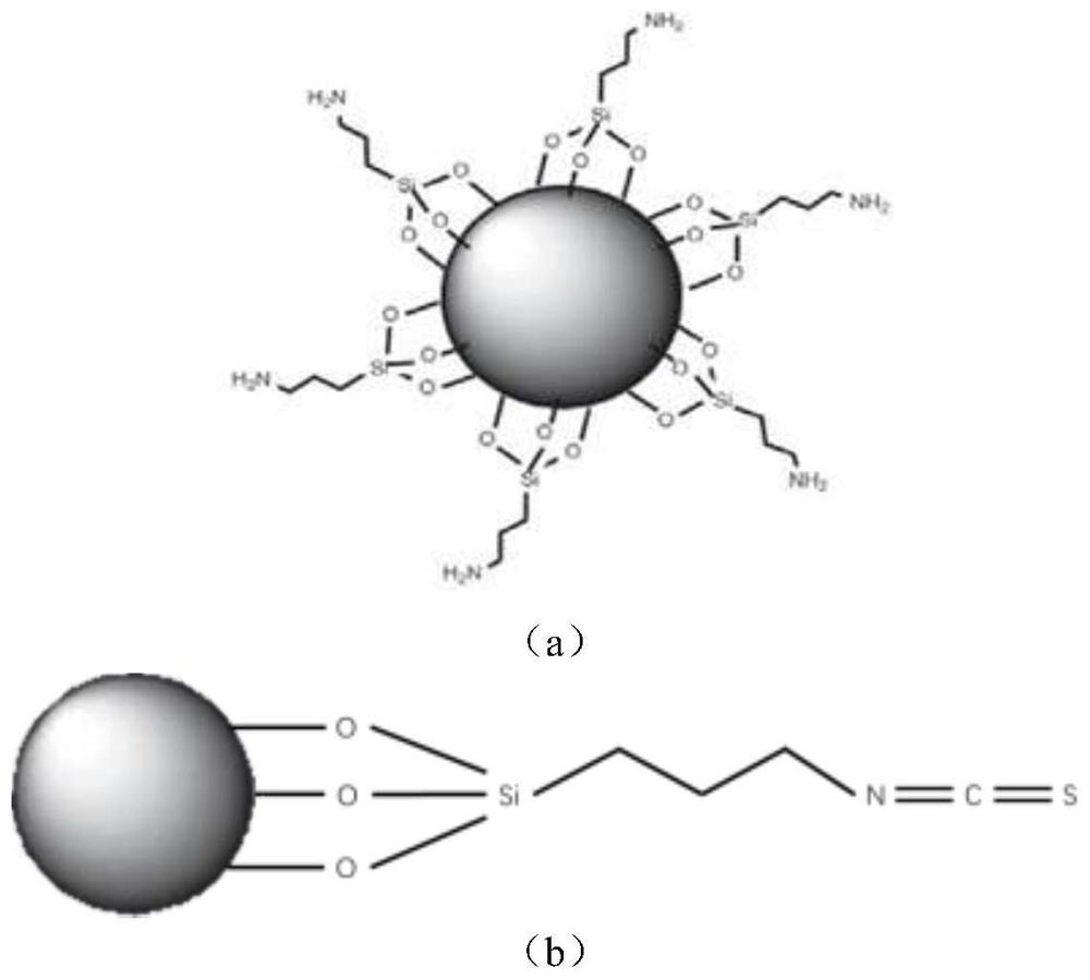 Preparation method of isothiocyano functionalized silicon dioxide material