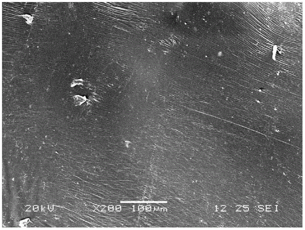 Heat-insulated degradable polypropylene foaming material and production method thereof