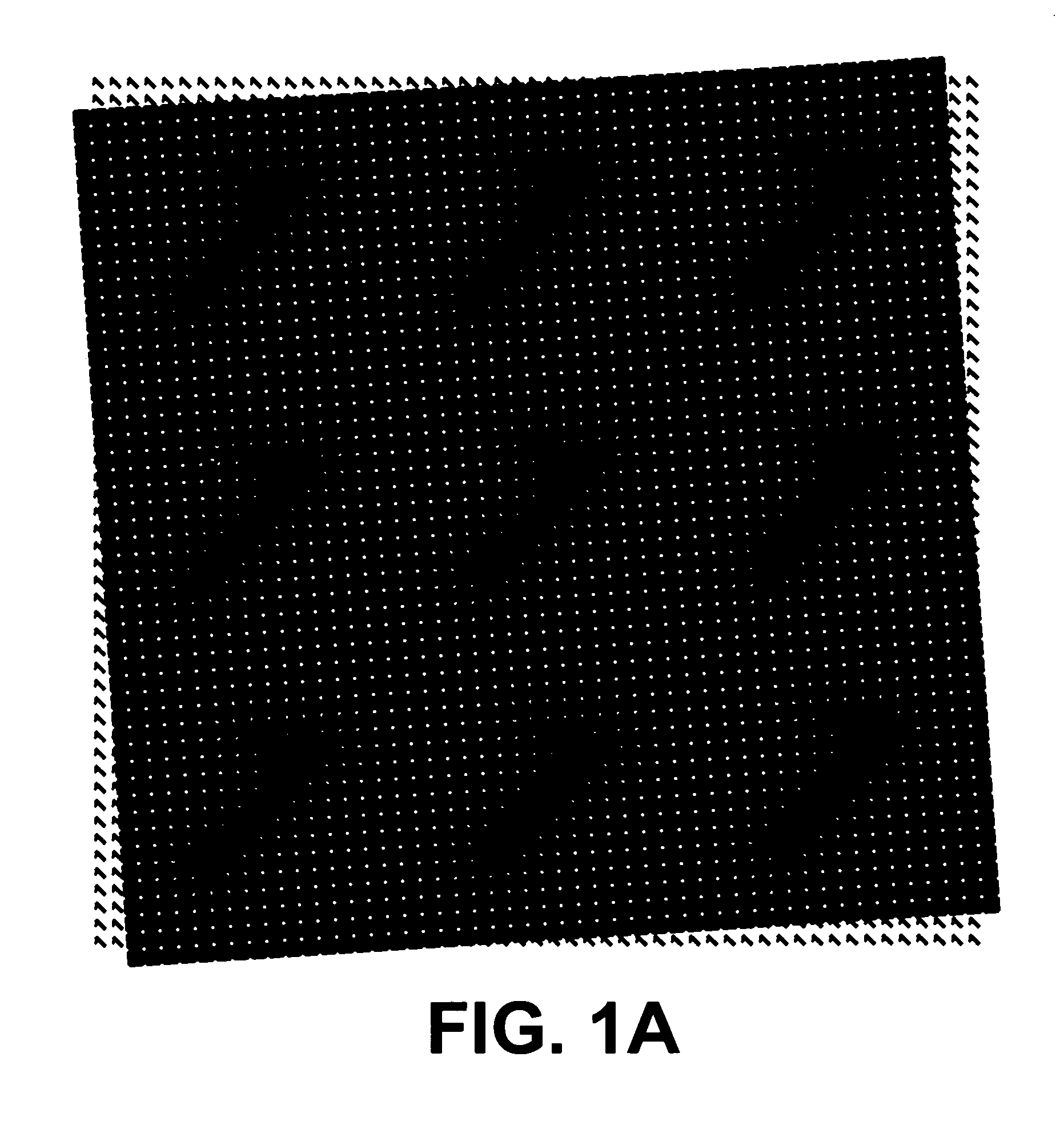 Authentication with built-in encryption by using moire parallax effects between fixed correlated s-random layers