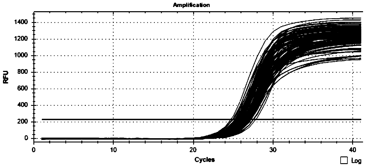 A method for detecting the cnv marker of Qinchuan cattle gbp2 gene and its application