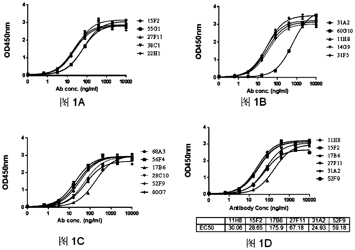 Chimeric antigen receptor and application thereof