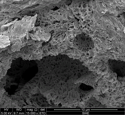 Preparation method of cellular three-dimensional graphene