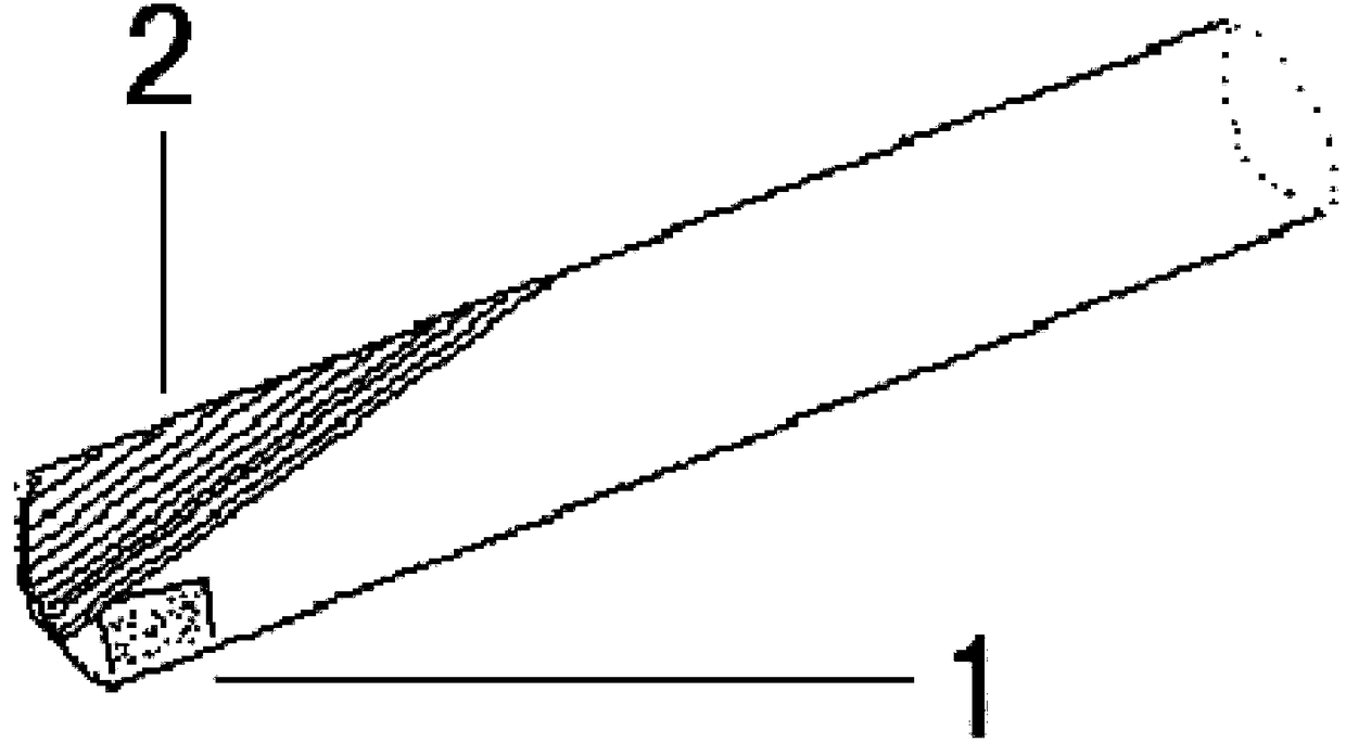 Method for isolating edible fungus strains