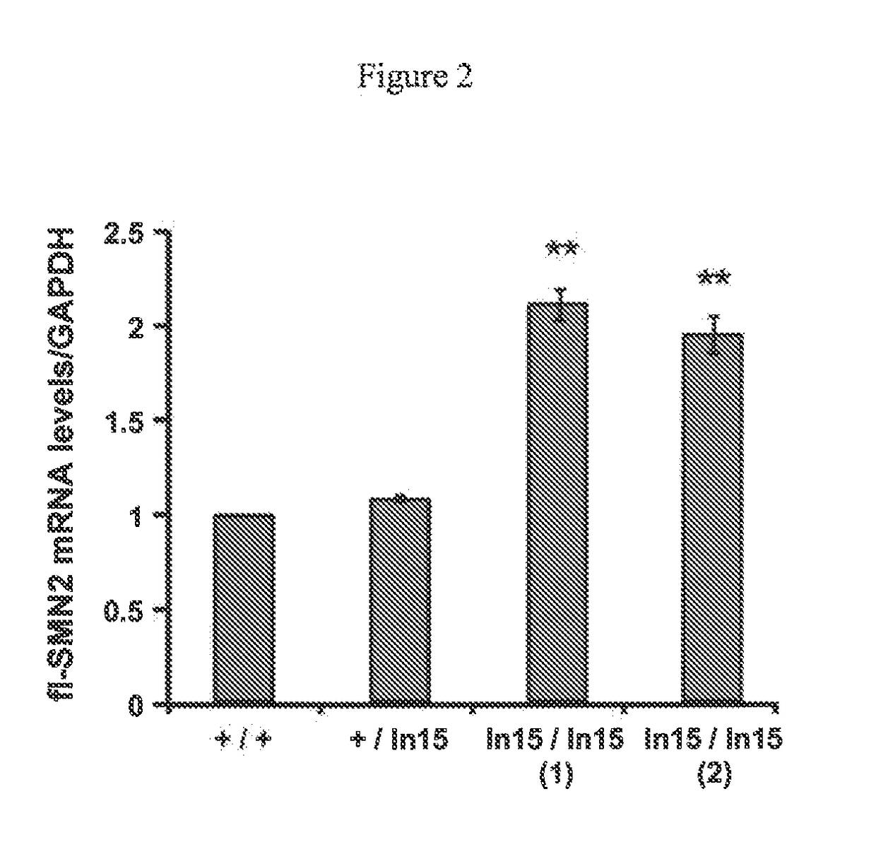 Compositions for increasing survival of motor neuron protein (SMN) levels in target cells and methods of use thereof for the treatment of spinal muscular atrophy