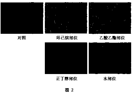 Yantai Limonium Limonium Antitumor Effective Component Extract, Its Preparation Method and Application