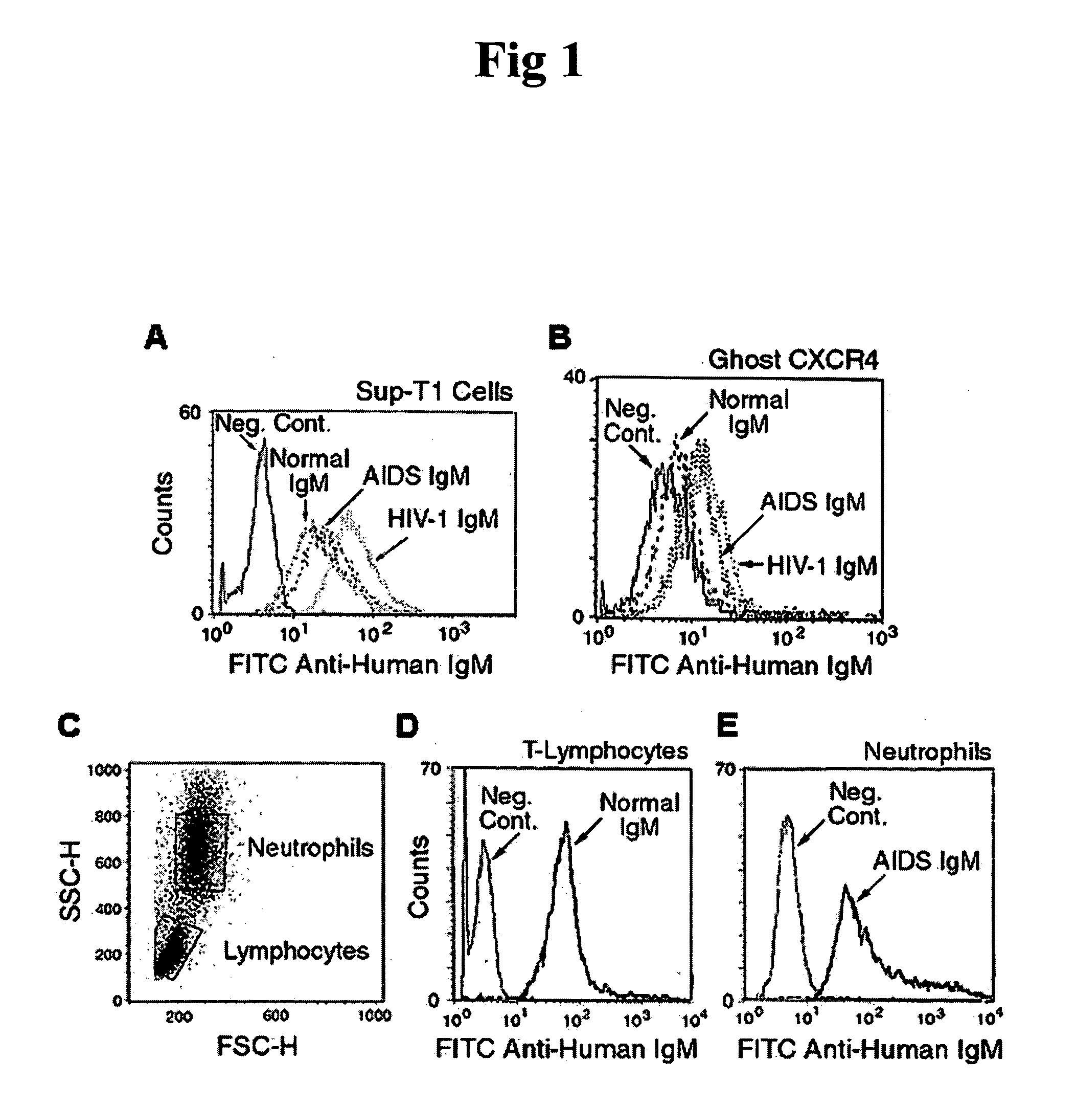 Naturally occuring IgM antibodies that bind to lymphocytes