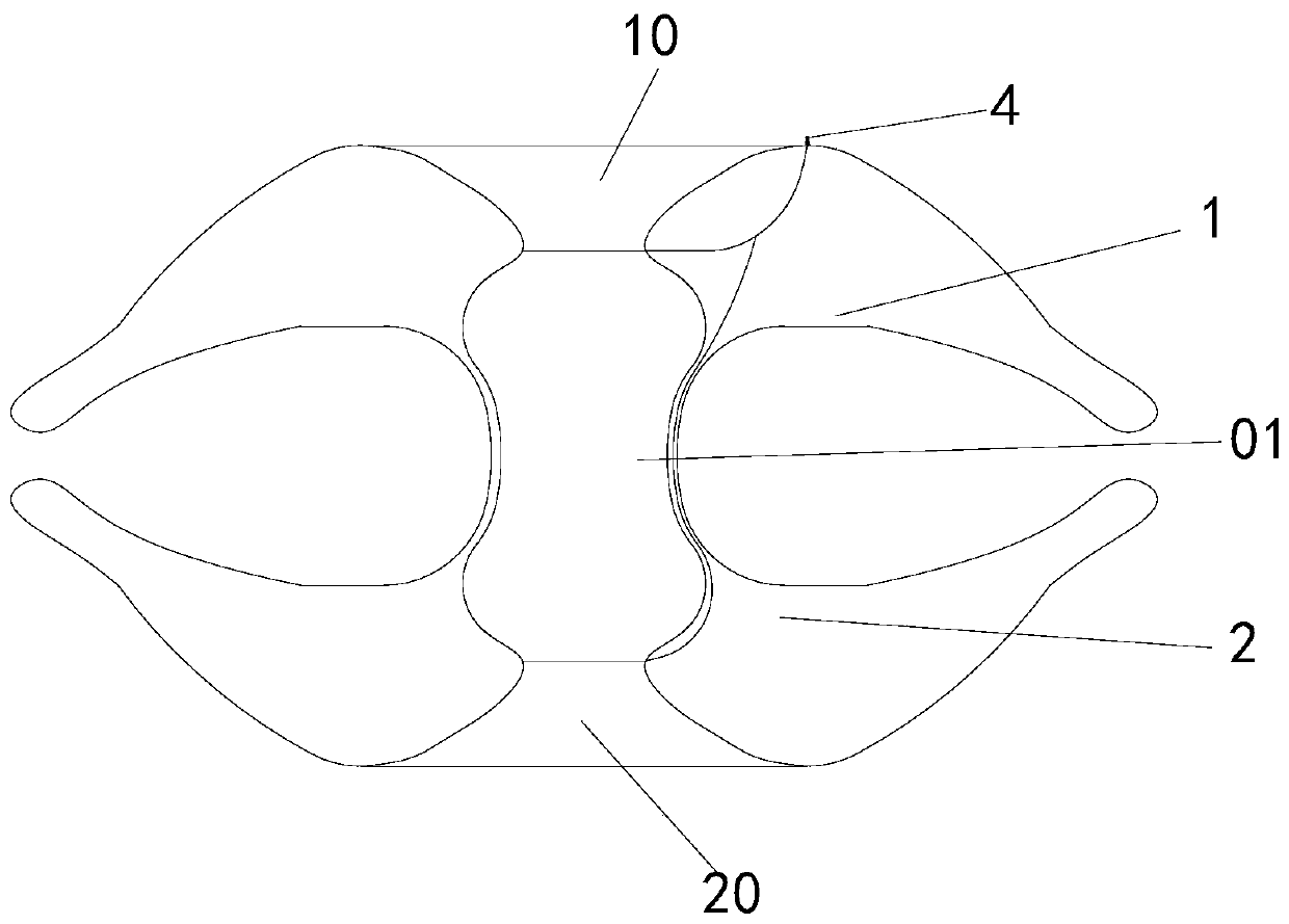 A highly stable and adaptively adjustable atrial shunt device