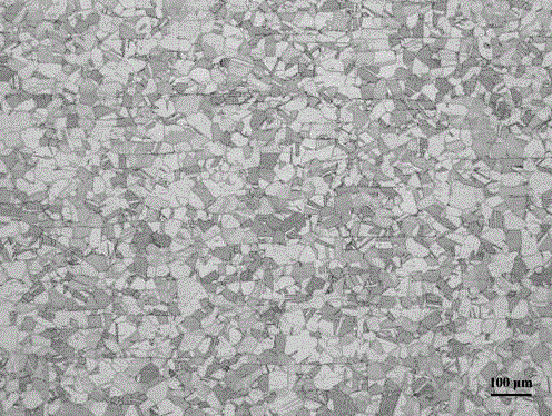 Austenitic stainless steel metallography corrosion agent and austenitic stainless steel metallography display method