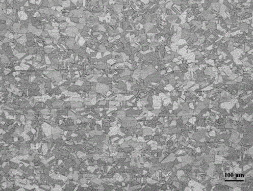 Austenitic stainless steel metallography corrosion agent and austenitic stainless steel metallography display method