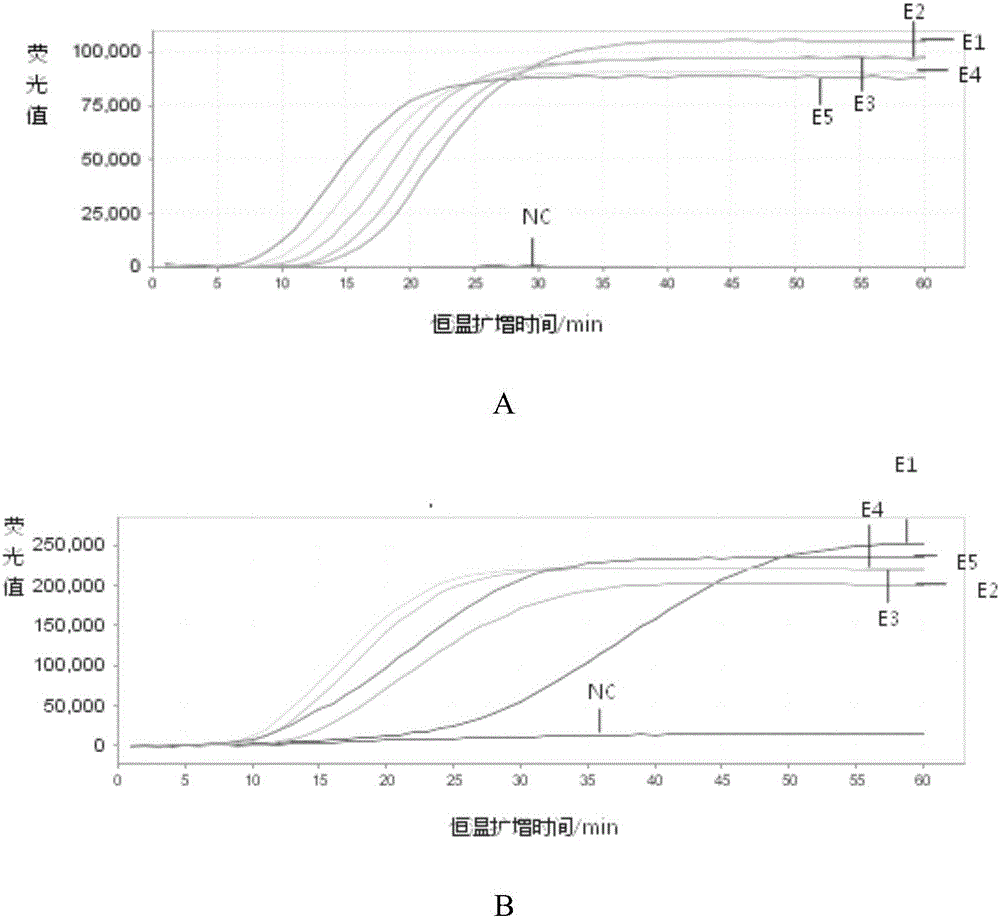 Kit for detecting respiratory viruses and application thereof