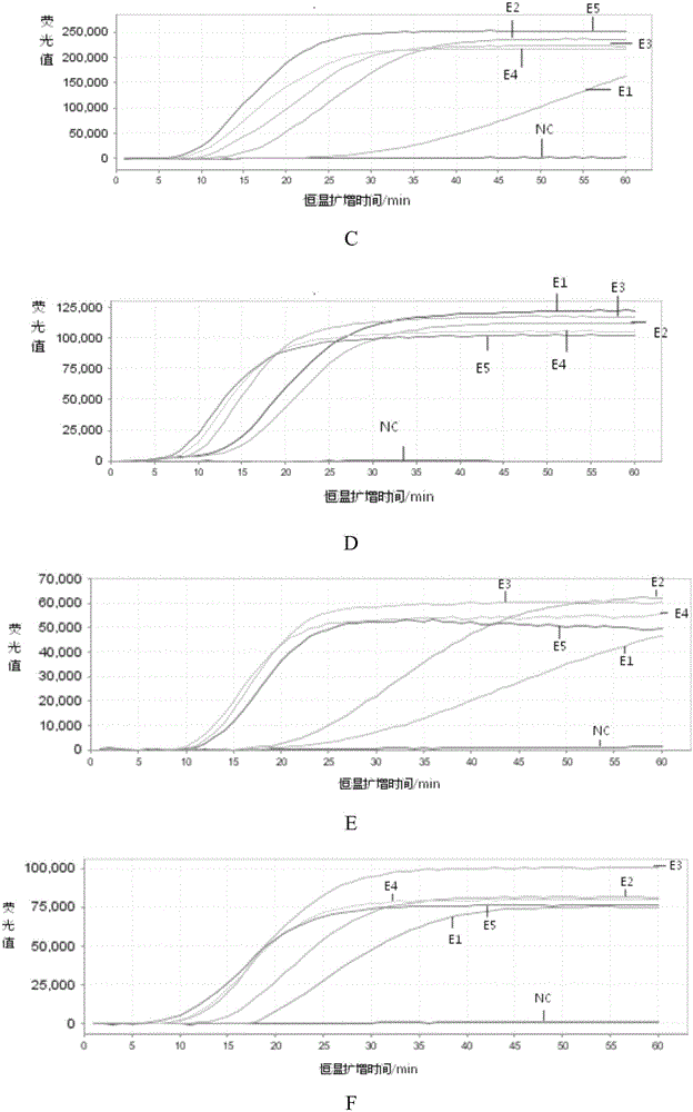 Kit for detecting respiratory viruses and application thereof