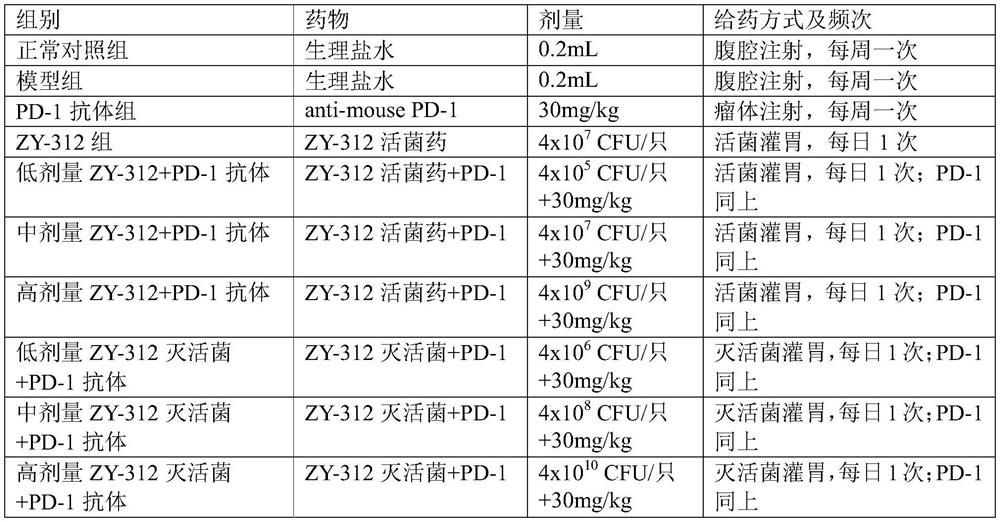 New application of bacteroides fragilis and immune checkpoint inhibitor