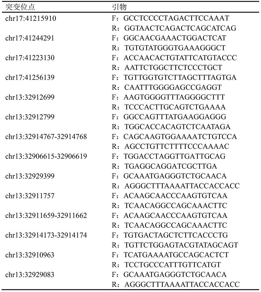 Mutant gene for breast cancer auxiliary diagnosis and application of mutant gene