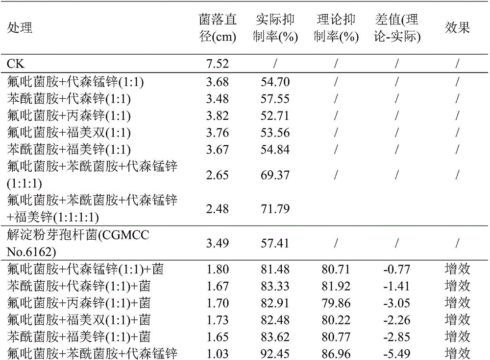 Bacterium combination containing benzamide fungicides, dithiocarbamate fungicides and biocontrol bacteria, preparation and application