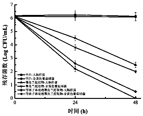 Preparation method and application of plasma treated origanum majorana extract