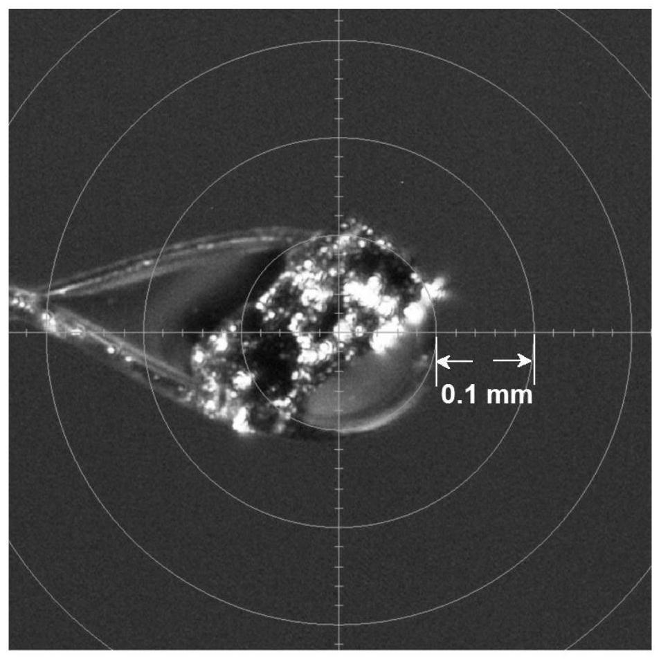 Monoclinic crystal system crystal form substance and preparation method thereof