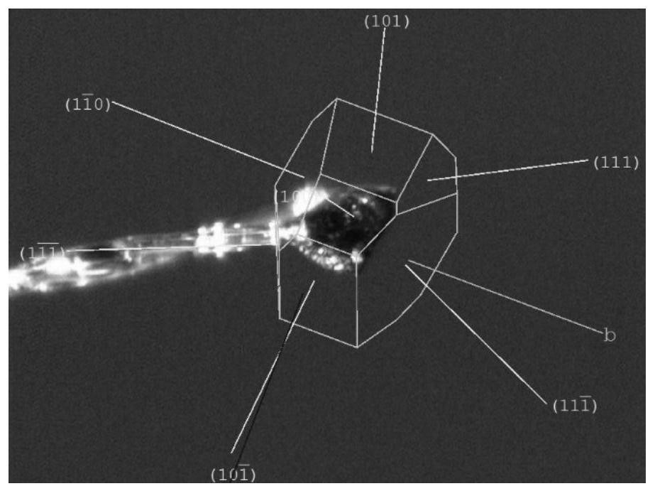 Monoclinic crystal system crystal form substance and preparation method thereof