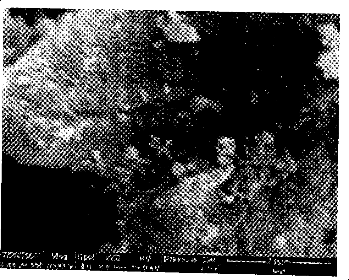 Adsorption-photocatalysis double-function char adsorption material and method of producing the same