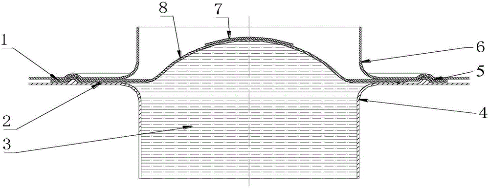 Test method based on forming limit diagrams for plate hydroforming