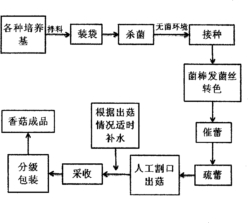 Biodegradable lentinus edodes strain stick coating liquid and preparation method thereof