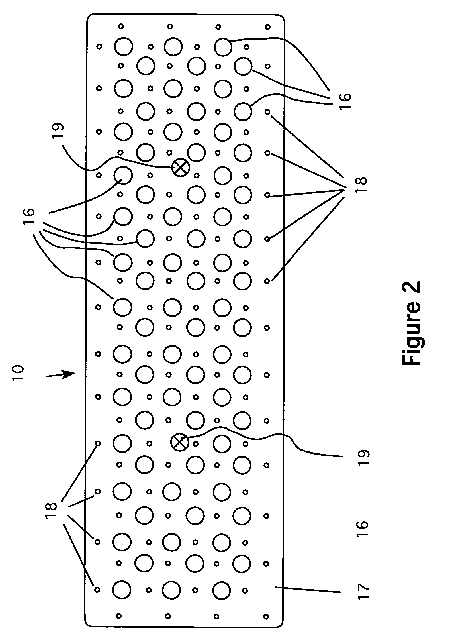 Foam rasp