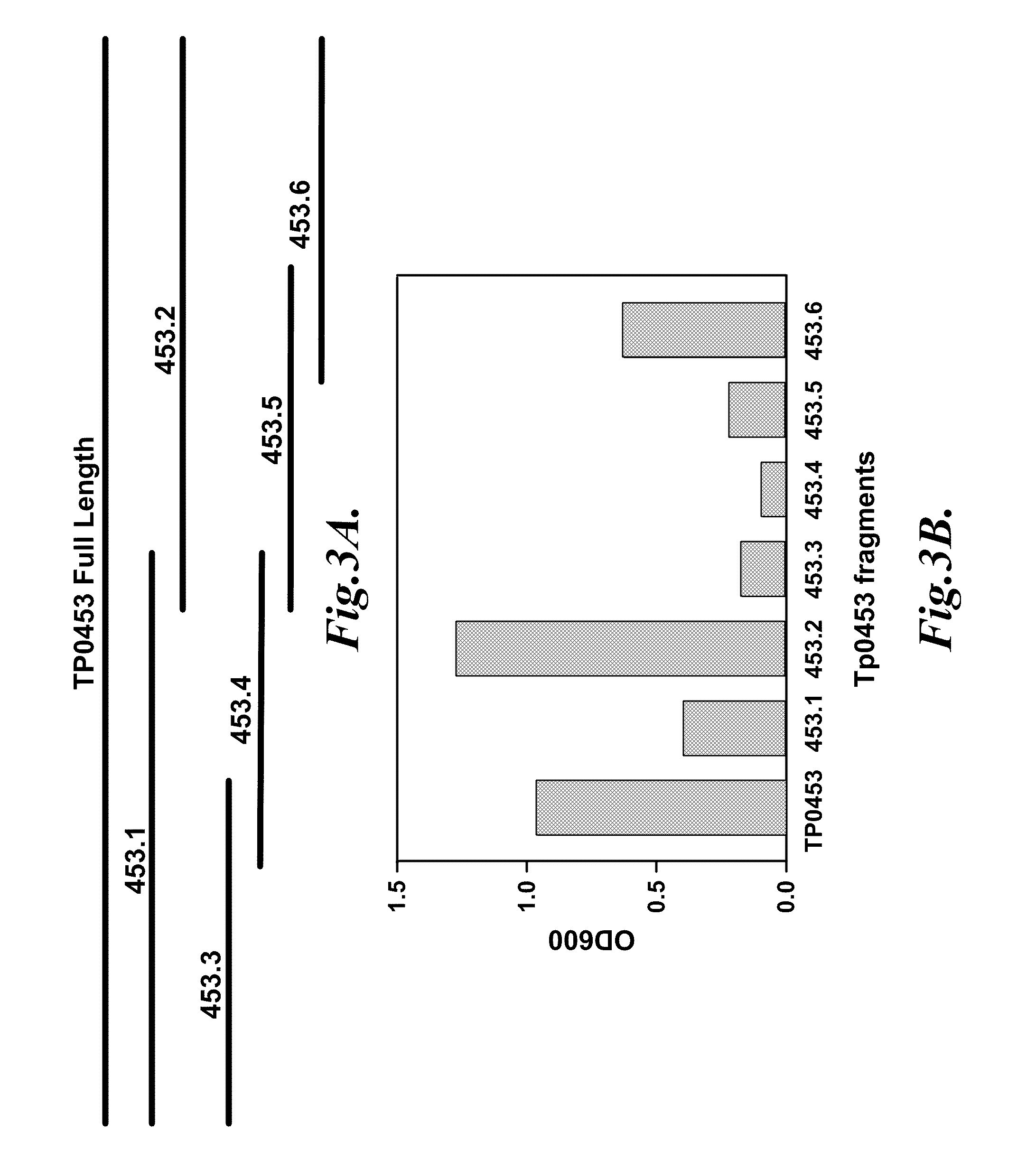 Syphilis diagnostic tests and kits