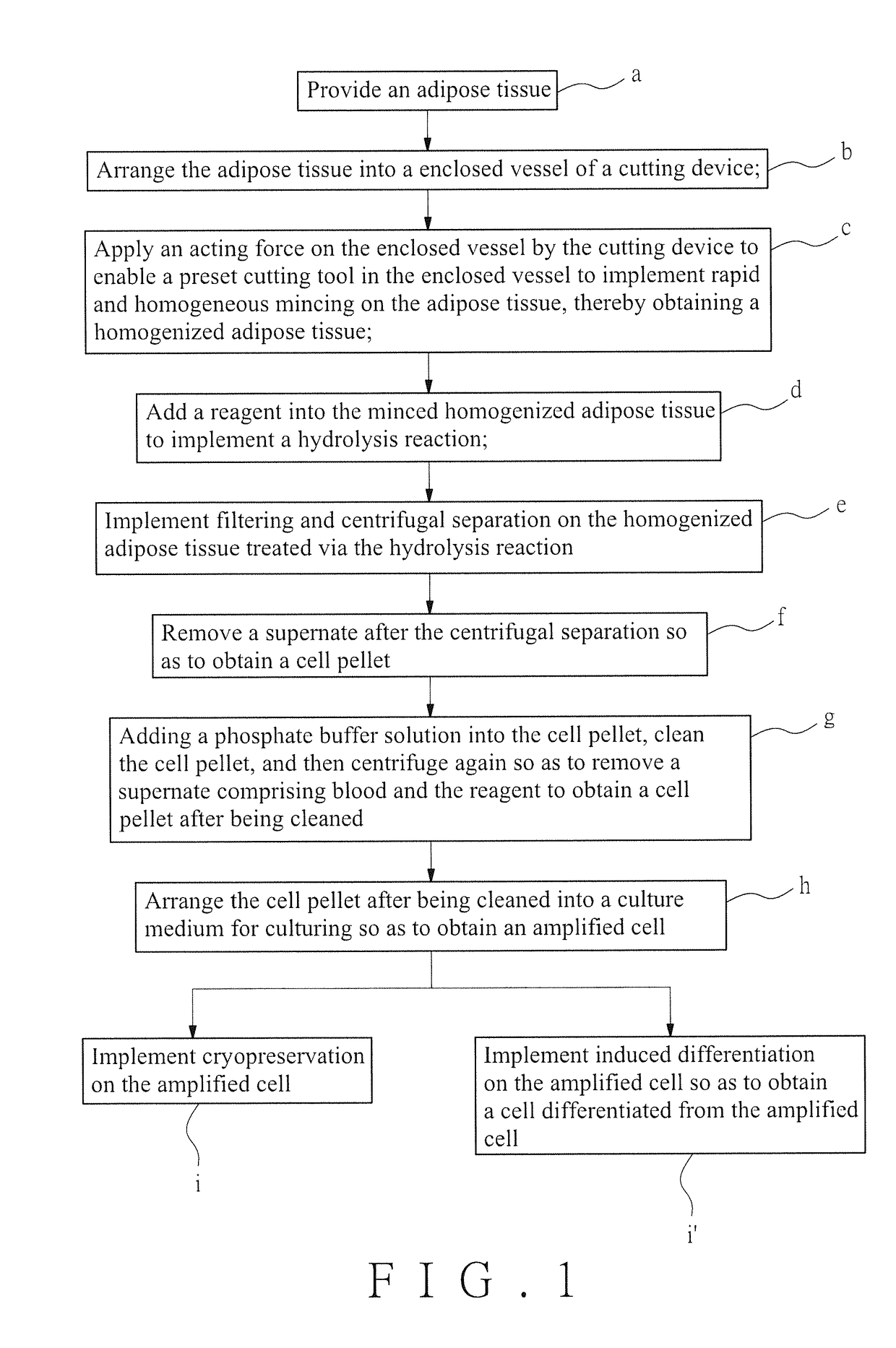 Rapid mincing of adipose tissues to isolate live cells in vitro