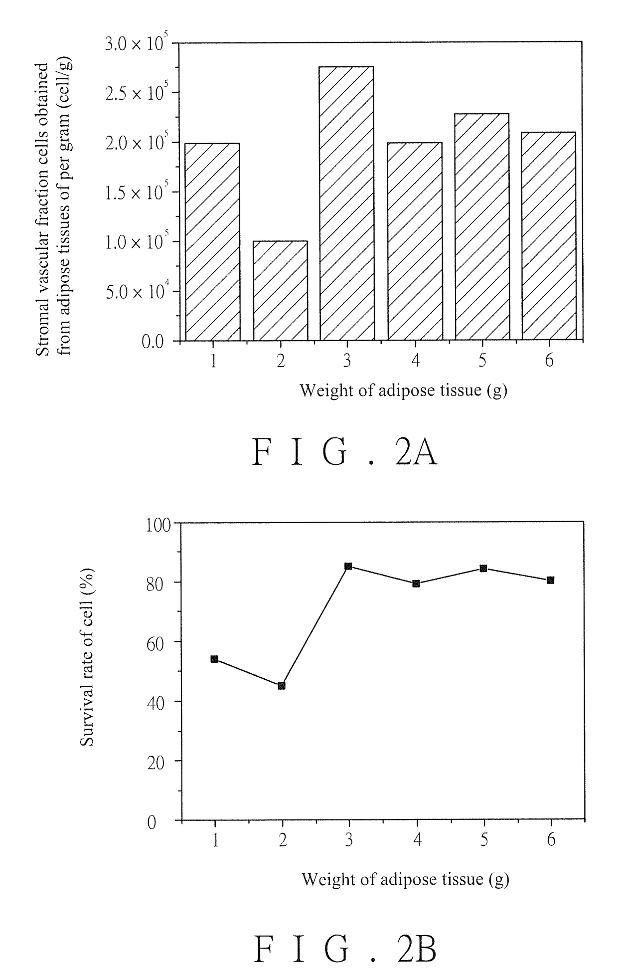 Rapid mincing of adipose tissues to isolate live cells in vitro