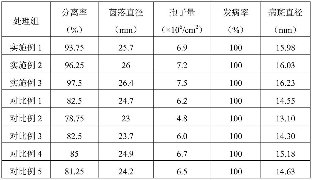 Method for simply, conveniently and rapidly separating peronophthora litchii