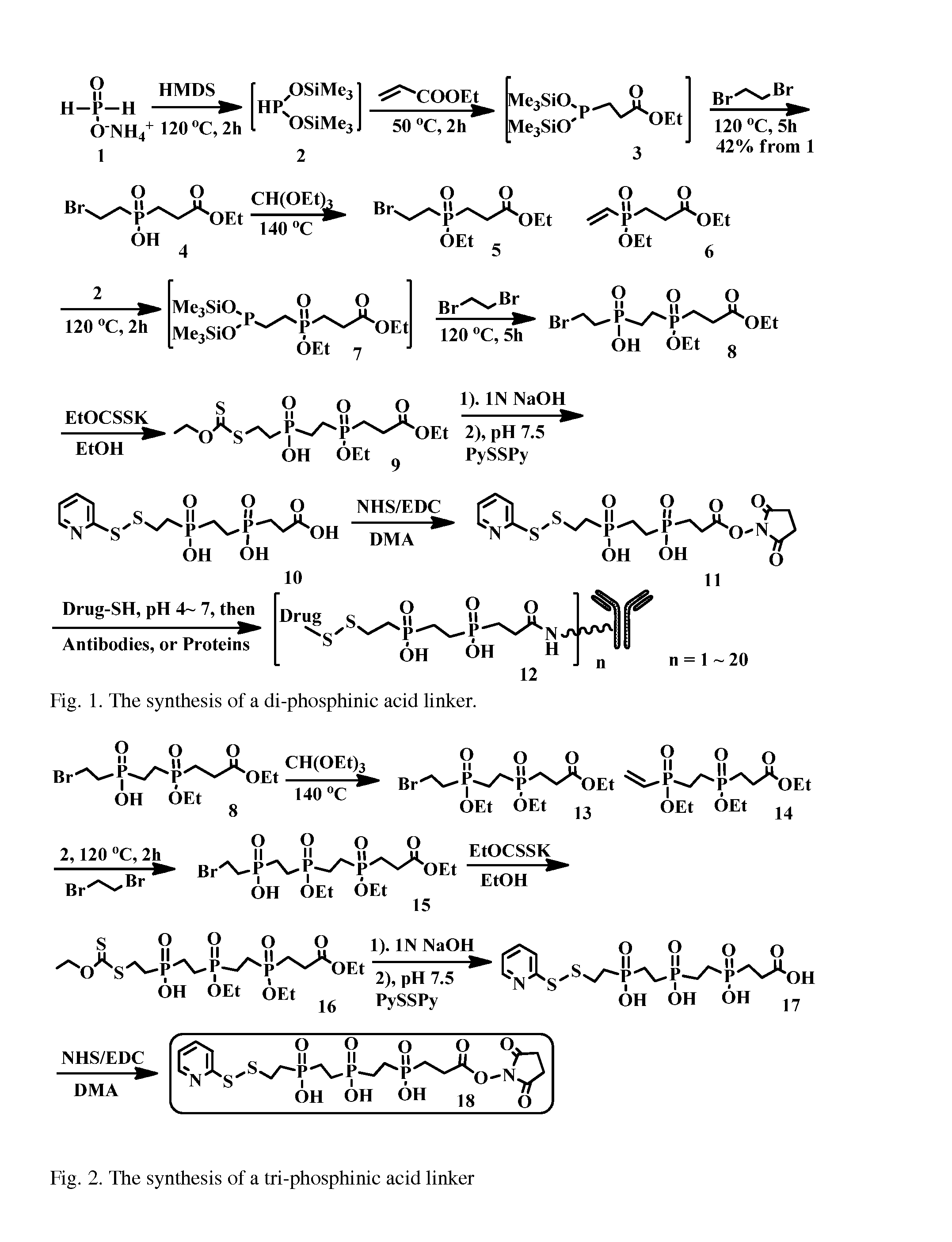 Hydrophilic linkers and their uses for conjugation of drugs to a cell binding molecules