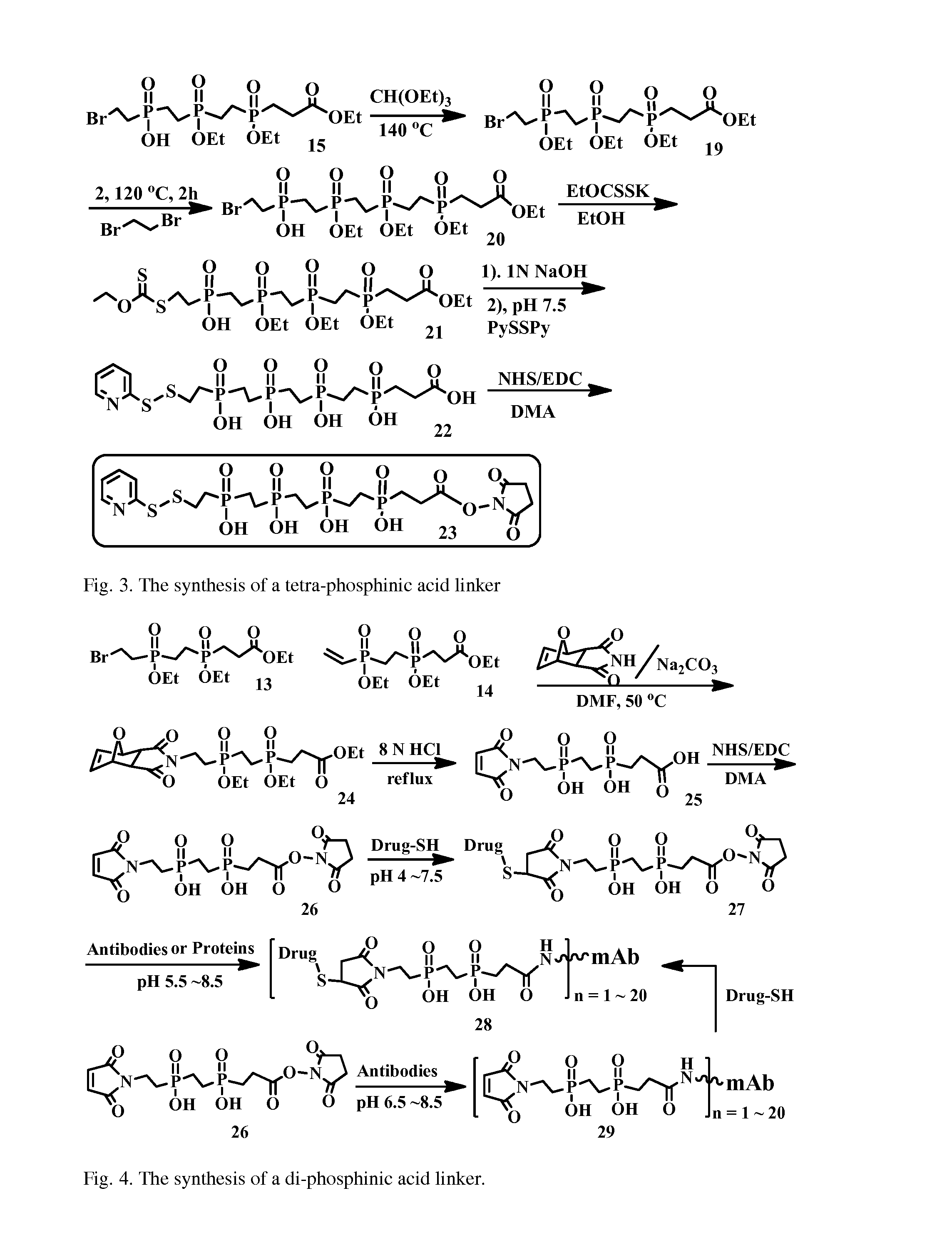 Hydrophilic linkers and their uses for conjugation of drugs to a cell binding molecules