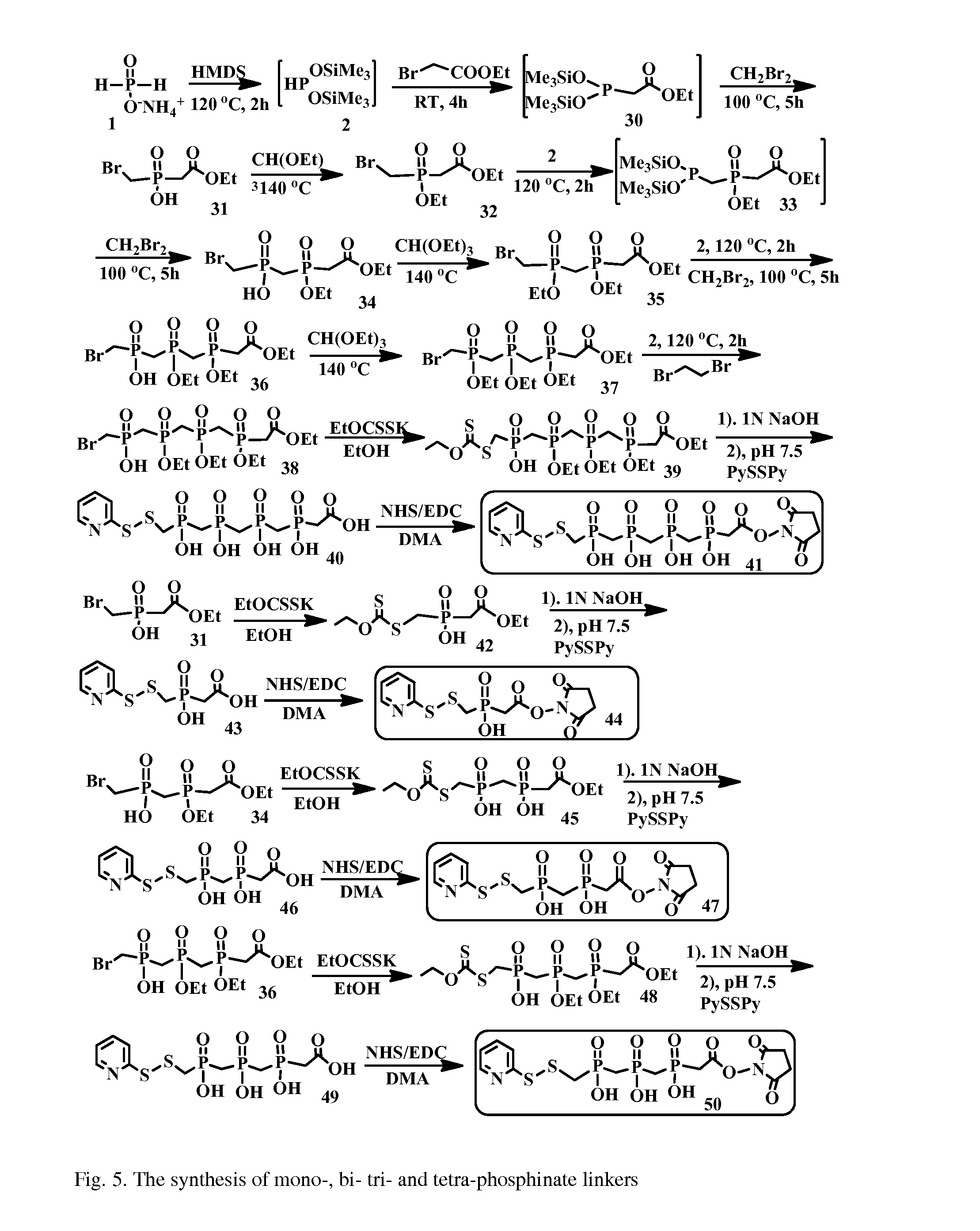 Hydrophilic linkers and their uses for conjugation of drugs to a cell binding molecules